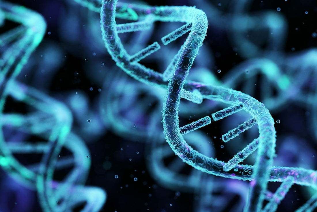 Buy Peptides Online: A 2025 Guide to High-Purity Research Peptides for Sale from Trusted Peptide Vendors